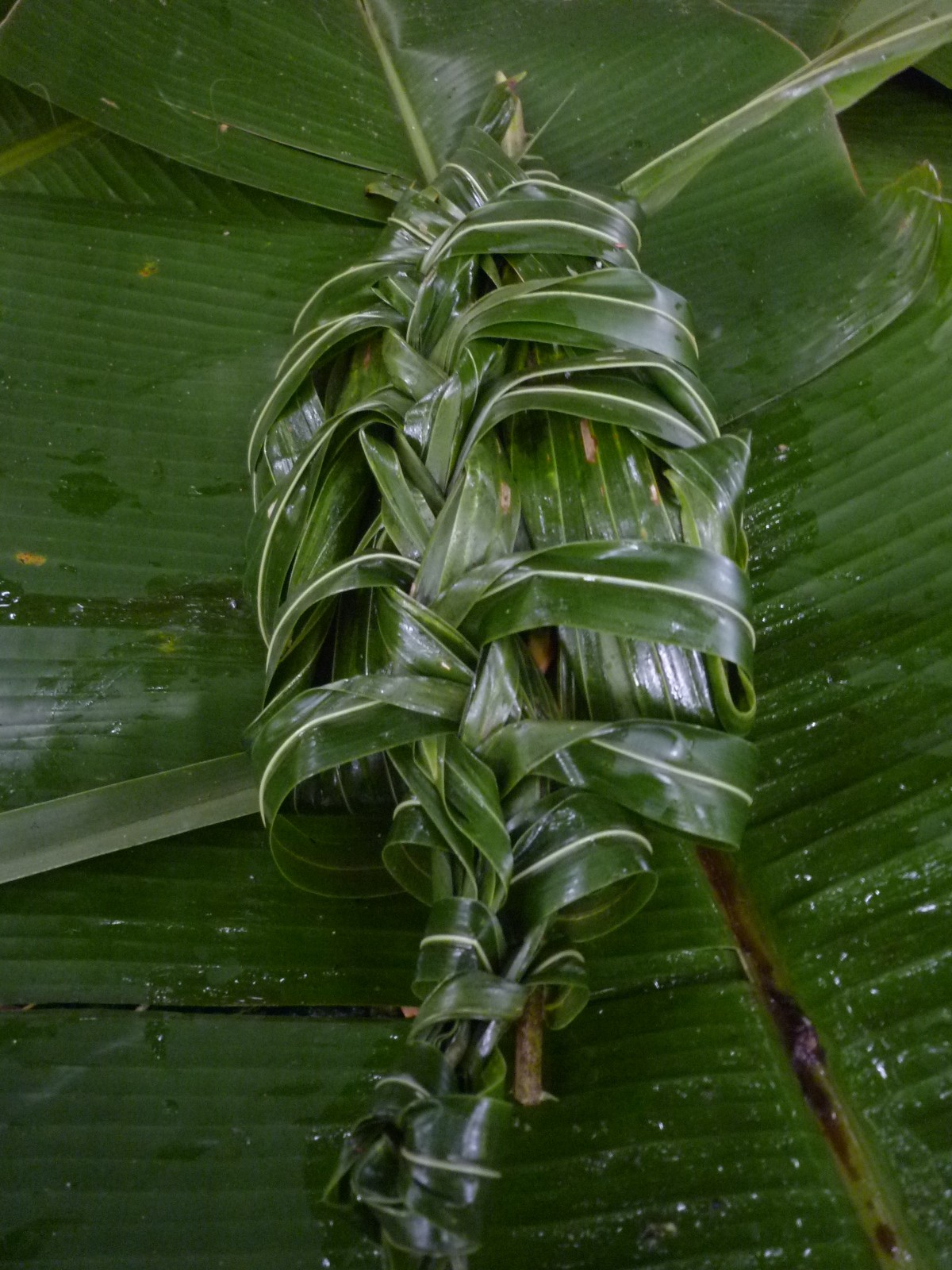 Stuffed chicken ready for the Lovo