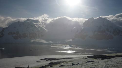 Local food in Antarctica
