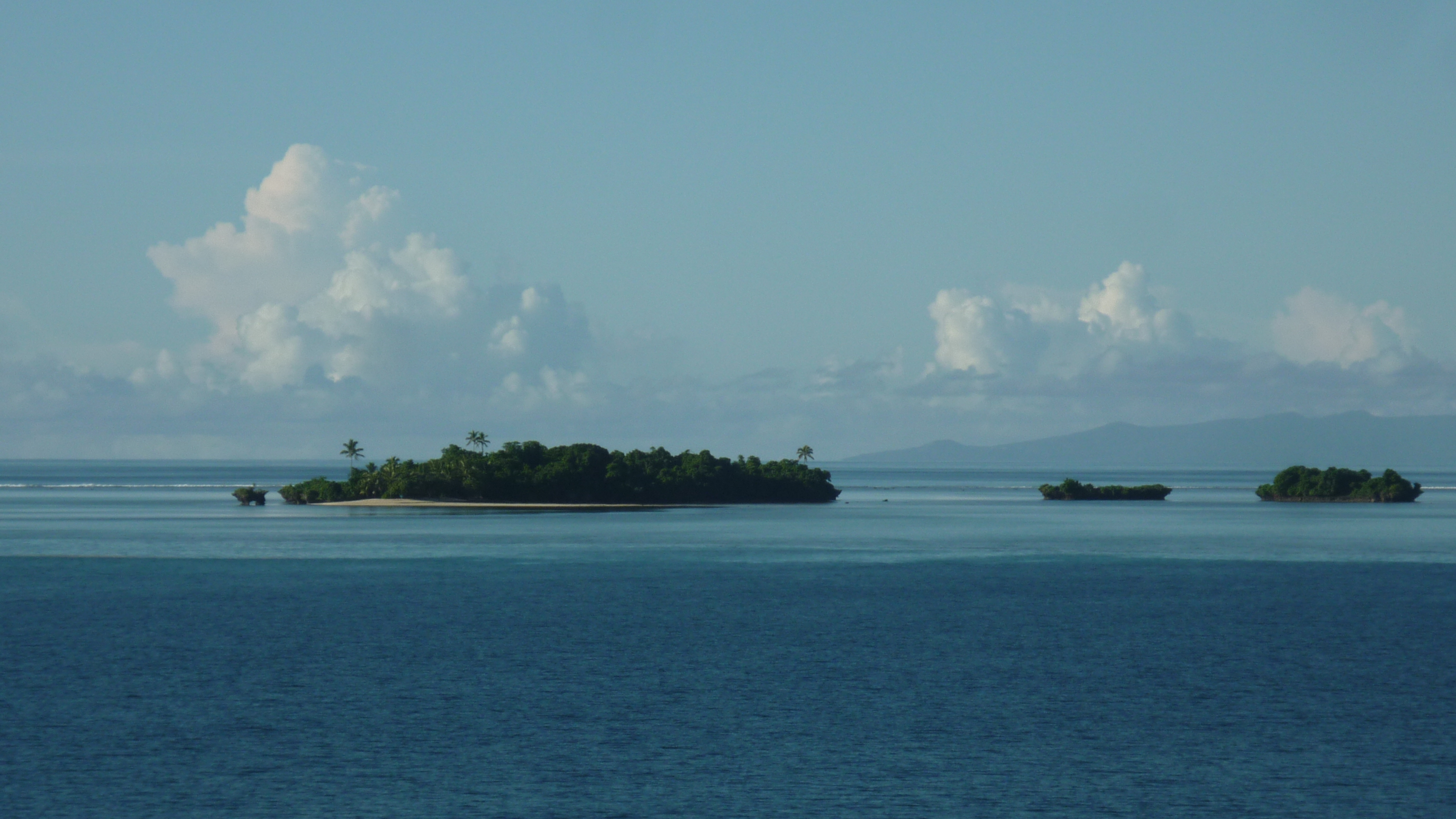 Make Alcohol Tropical